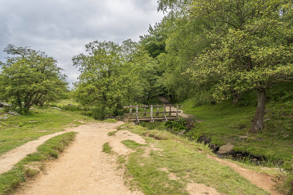 Longshaw